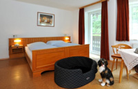 Residenz Gruber - Zimmer mit Hundekrbchen