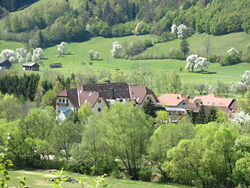 Hotel Steinschalerhof