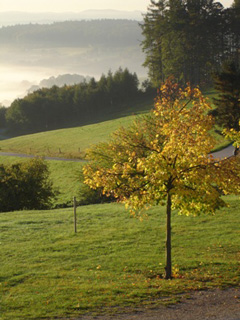 Hotel Wienerwaldhof - Aussicht