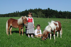 Hotel Wienerwaldhof - Kinder und Tiere willkommen